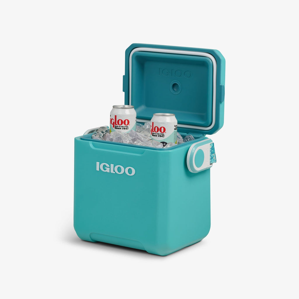 Tag Along Too Remix Cooler